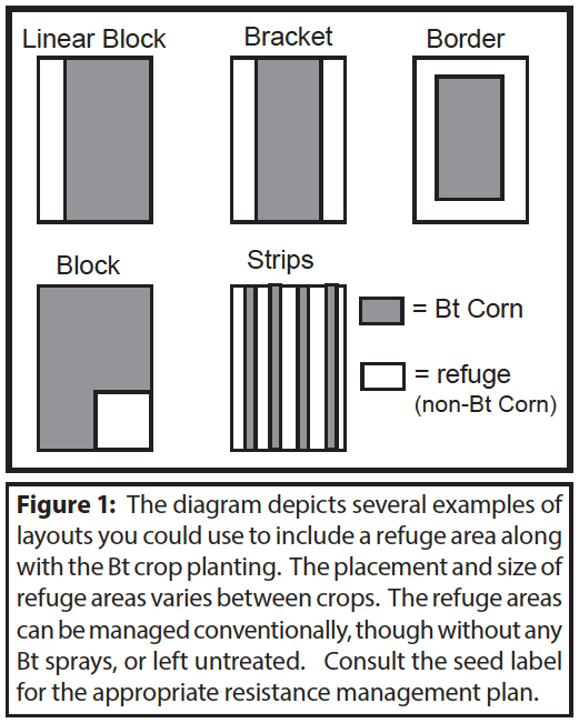 Use Pest Strips As Directed!