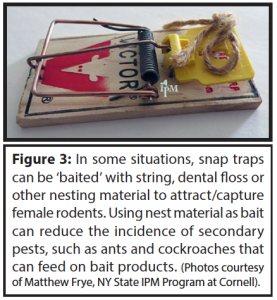 Rodent Baits vs Snap Traps