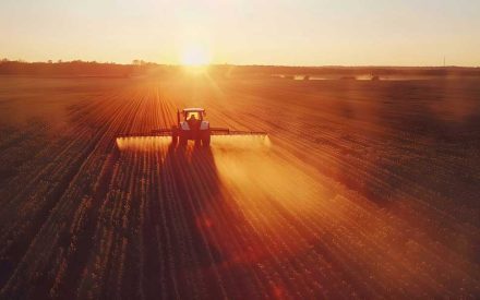 The Use of Dicamba over Dicamba Tolerant Soybean