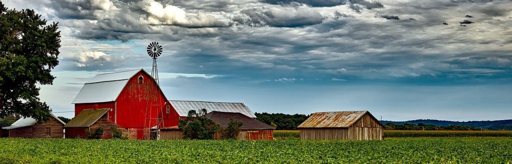 soybean field with a red barn in the background and dark clouds overhead