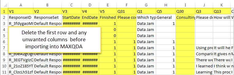 nest coding maxqda