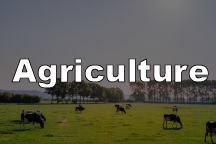 Agriculture