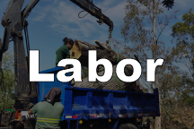 Labor