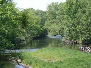 Red Cedar River