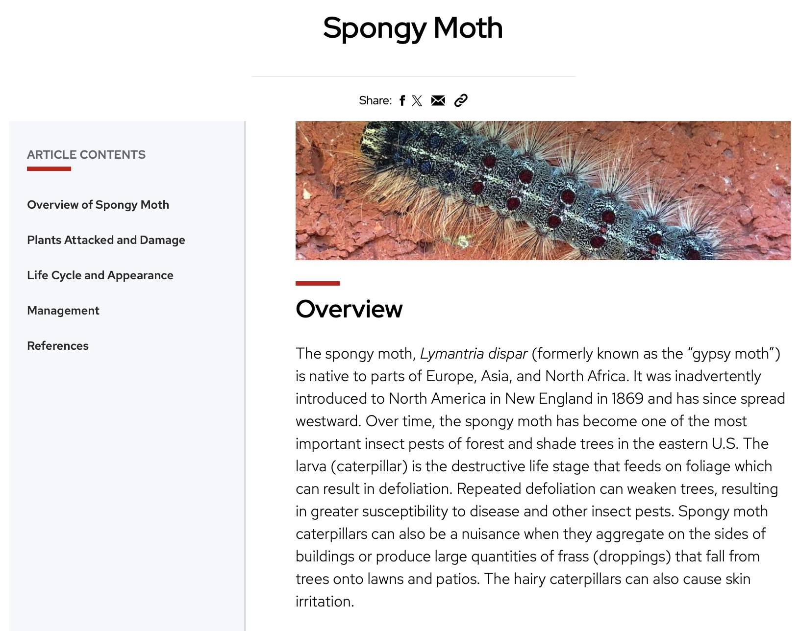 Extension Spongy Moth Factsheet