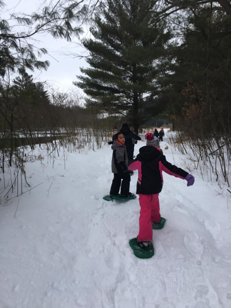This picture shows two individuals snowshoeing. They are surrounded by evergreen trees. 