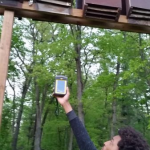 boy holding thermal detector up to bat houses