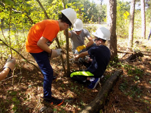 This image shows 2 youth and one adult with white hard hats on their heads. The adult is looking at the two youth who are using loppers to cut through a tree branch.