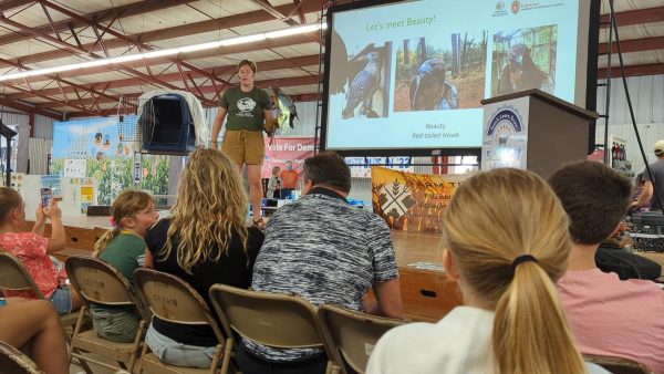 Beauty the red-tailed hawk is being held by a staff member in the center of the photo. In the background there is a powerpoint presentation that says "Meet Beauty."