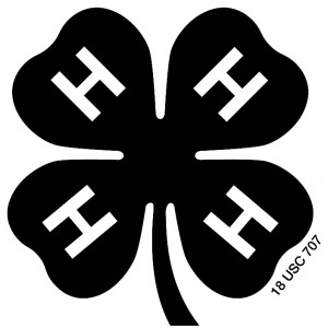 4-H Clover