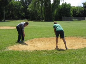 Cerceris survey volunteers