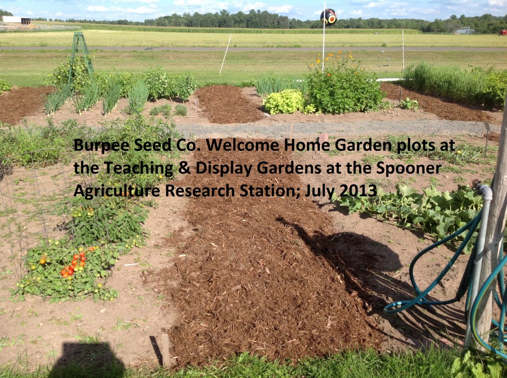 Burpee Seed Program Photo